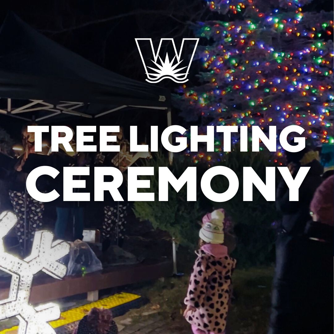 Tree Lighting Ceremony.jpg